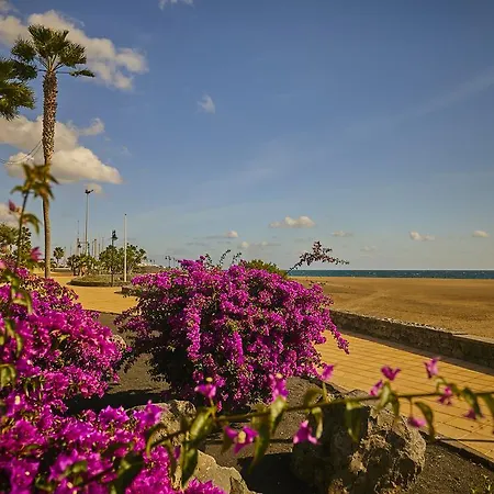 Prázdninový dům Palmeras Puerto Del Carmen *