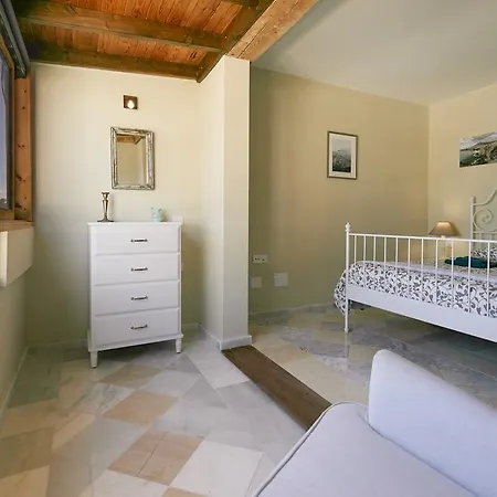 Palmeras Puerto del Carmen (Lanzarote)