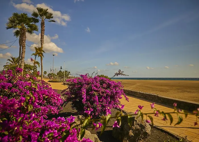 Сasa de vacaciones Palmeras *